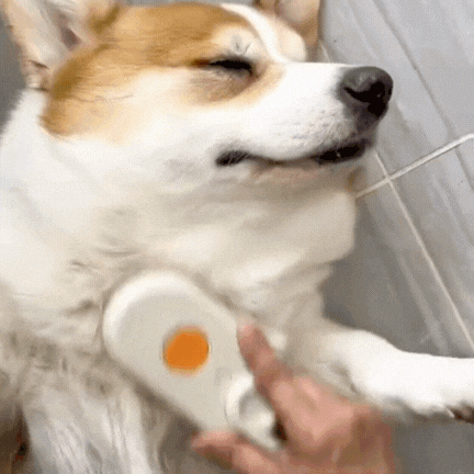 3-in-1 Pet Spray & Massage Brush