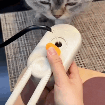 3-in-1 Pet Spray & Massage Brush