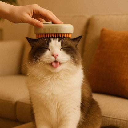 3-in-1 Pet Spray &amp; Massage Brush