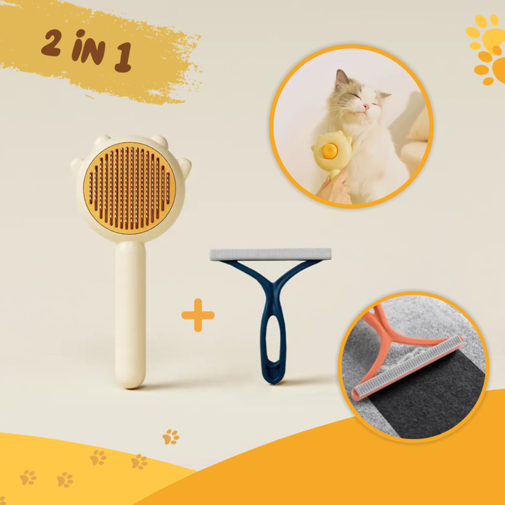 Pet grooming Dog grooming Animal grooming Dog brush Cat brush canine grooming petsmart grooming pets mart pe t smart grooming in petsmart petsmart petsmart grooming grooming at pet smart pet grooming grooming petsmart and grooming breeds of cat pet &amp; grooming grooming dog grooming dog grooming dog grooming petdog grooming dog grooming dog dog dog grooming pet stores pet stores